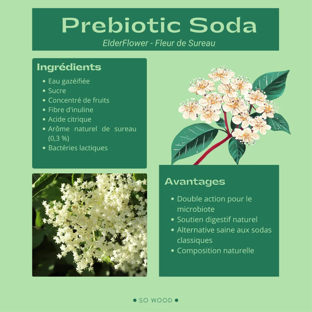 Tableau nutritionnelle Kombucha et soda (4).webp
