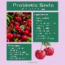 Tableau nutritionnelle Kombucha et soda (5).webp