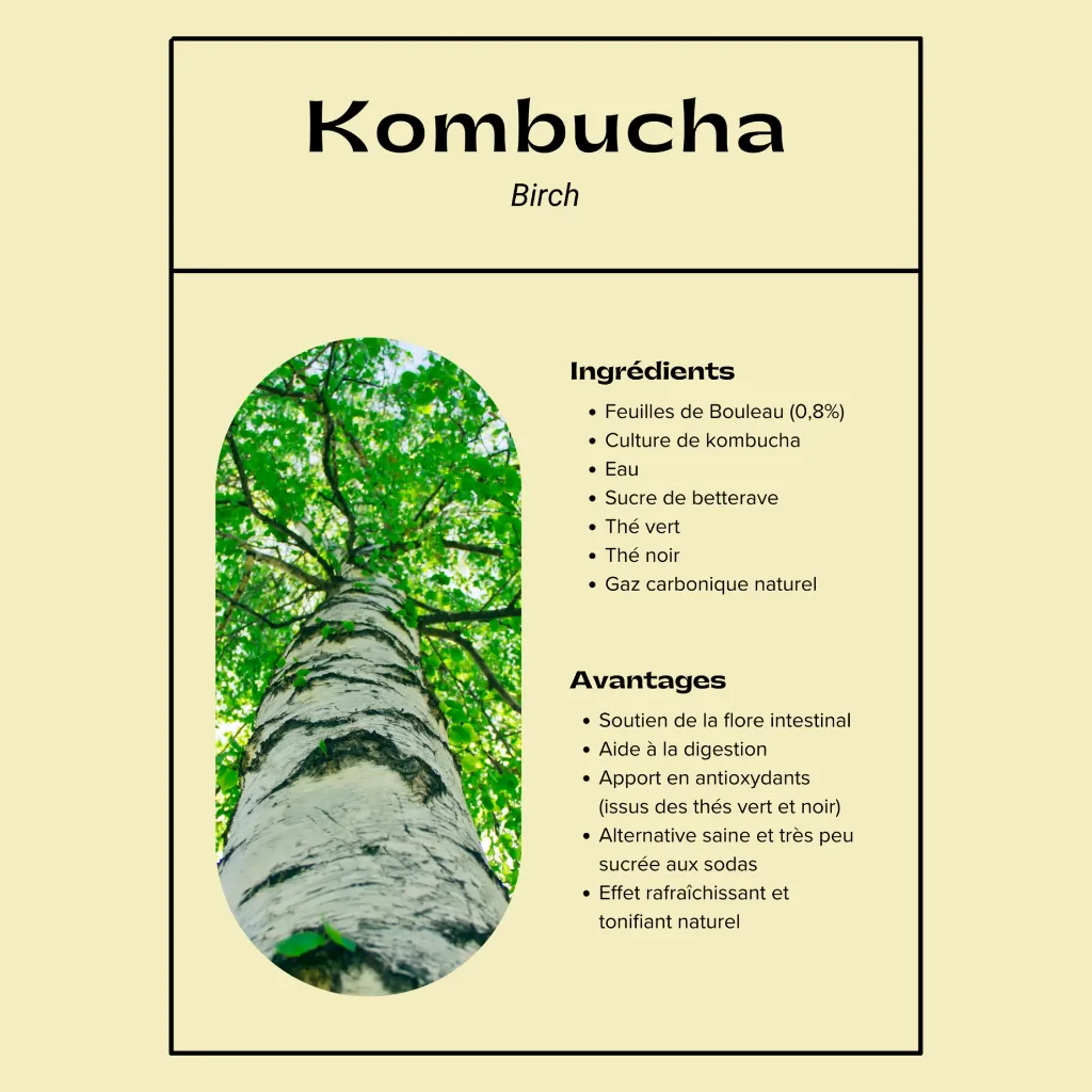 Tableau nutritionnelle Kombucha et soda.webp