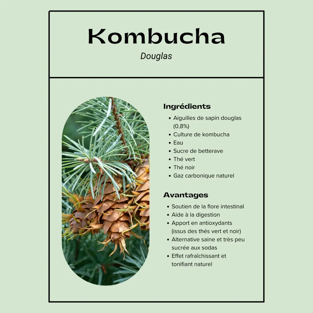 Tableau nutritionnelle Kombucha et soda (1).webp